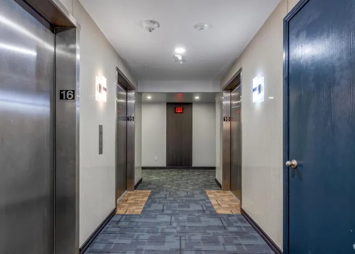 Modern One Bedroom With Gym